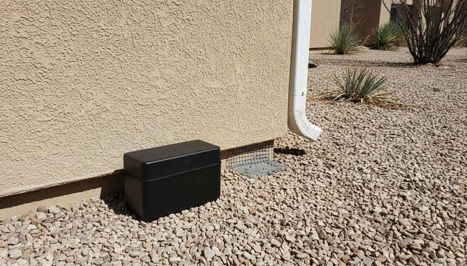Rodent control at an Albuquerque home: a tamper-resistant bait station along the stucco foundation and a sealed entry gap